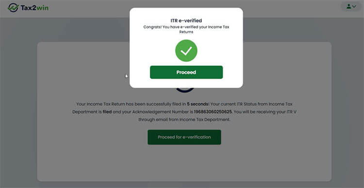 successfully e-verified